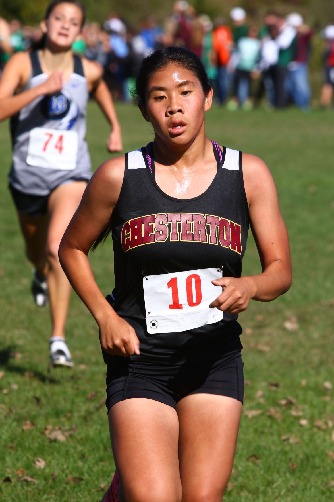 Gallery: Duneland Athletic Conference cross country meet